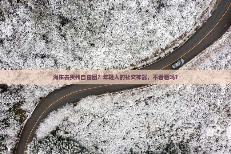 海东去贵州自由团？年轻人的社交神器，不看看吗？