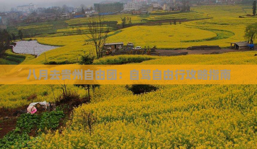 八月去贵州自由团：自驾自由行攻略指南
