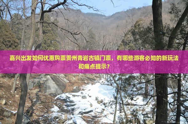 嘉兴出发如何优惠购票贵州青岩古镇门票，有哪些游客必知的新玩法和痛点提示？