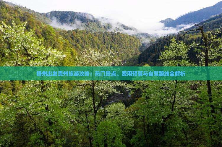 梧州出发贵州旅游攻略：热门景点、费用预算与自驾路线全解析