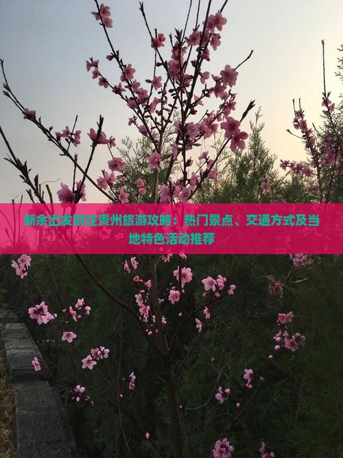 新余出发前往贵州旅游攻略：热门景点、交通方式及当地特色活动推荐