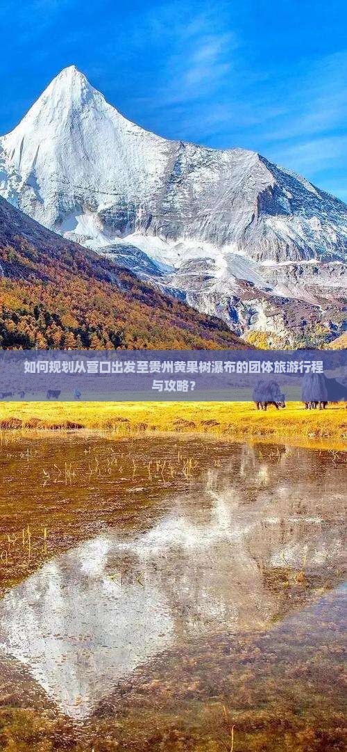 如何规划从营口出发至贵州黄果树瀑布的团体旅游行程与攻略？