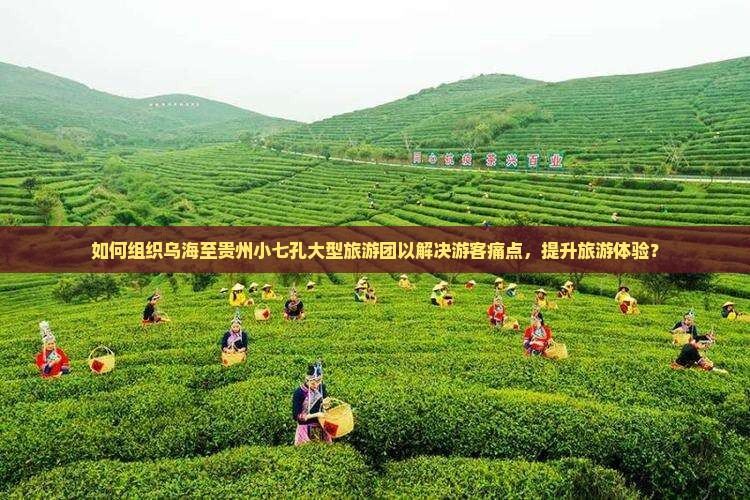 如何组织乌海至贵州小七孔大型旅游团以解决游客痛点，提升旅游体验？
