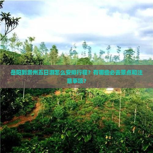 岳阳到贵州五日游怎么安排行程？有哪些必去景点和注意事项？