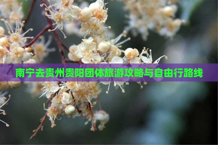 南宁去贵州贵阳团体旅游攻略与自由行路线