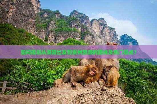 如何规划从资阳出发到贵州旅游的路线及热门景点？