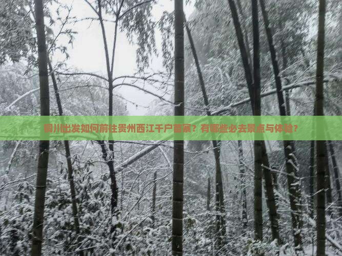 铜川出发如何前往贵州西江千户苗寨？有哪些必去景点与体验？