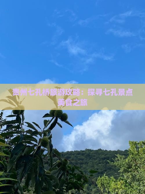 贵州七孔桥旅游攻略：探寻七孔景点美食之旅