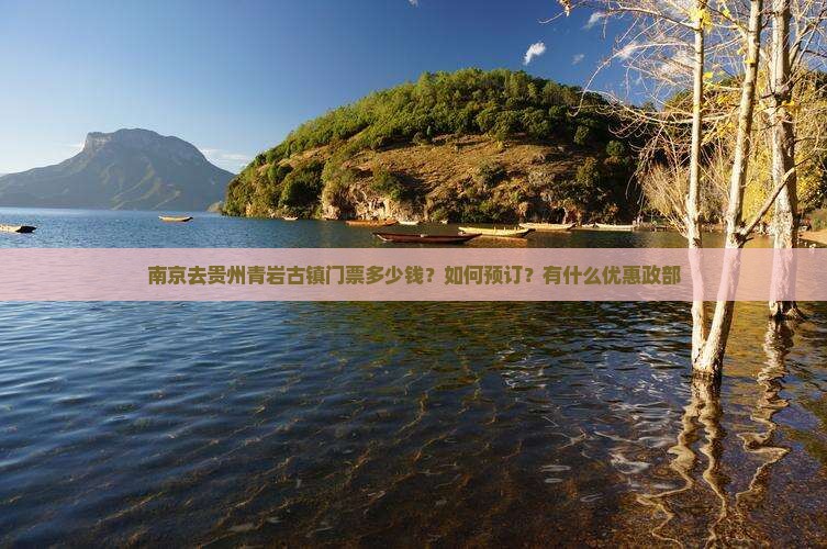 南京去贵州青岩古镇门票多少钱？如何预订？有什么优惠政部