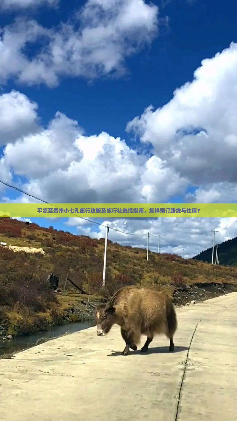 平凉至贵州小七孔旅行攻略及旅行社选择指南，怎样预订路线与住宿？