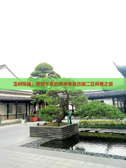 玉树探秘：穿越千年的贵州青岩古镇二日风情之旅