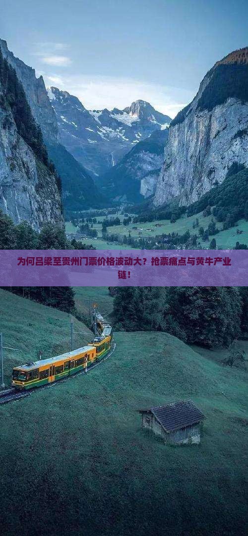 为何吕梁至贵州门票价格波动大？抢票痛点与黄牛产业链！