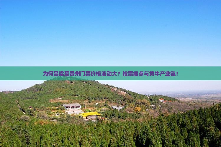 为何吕梁至贵州门票价格波动大？抢票痛点与黄牛产业链！