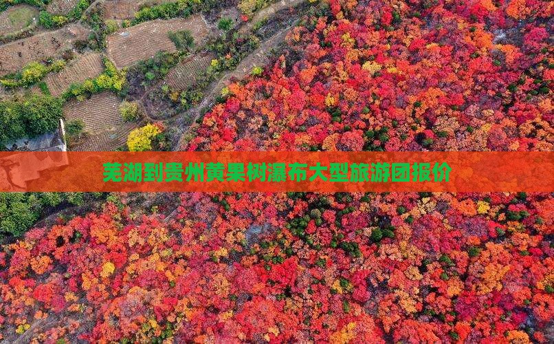 芜湖到贵州黄果树瀑布大型旅游团报价