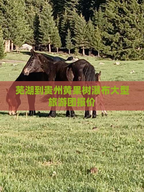 芜湖到贵州黄果树瀑布大型旅游团报价