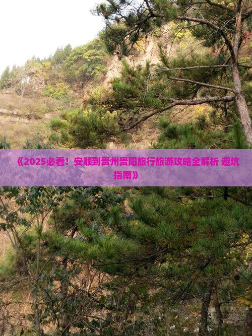 安顺去贵州贵阳大型旅游团