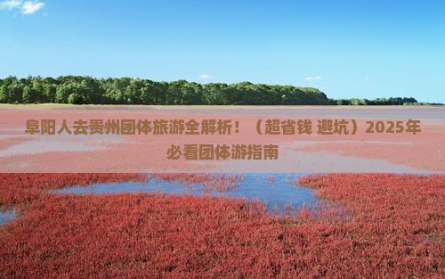 阜阳去贵州团体旅游