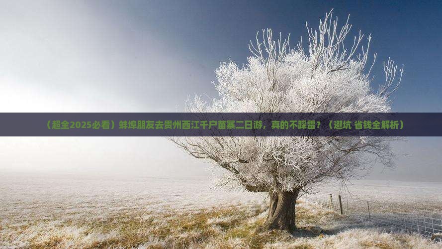 蚌埠去贵州西江千户苗寨二日游