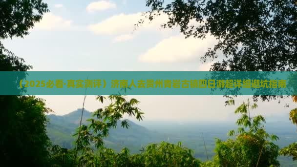 济南去贵州青岩古镇四日游