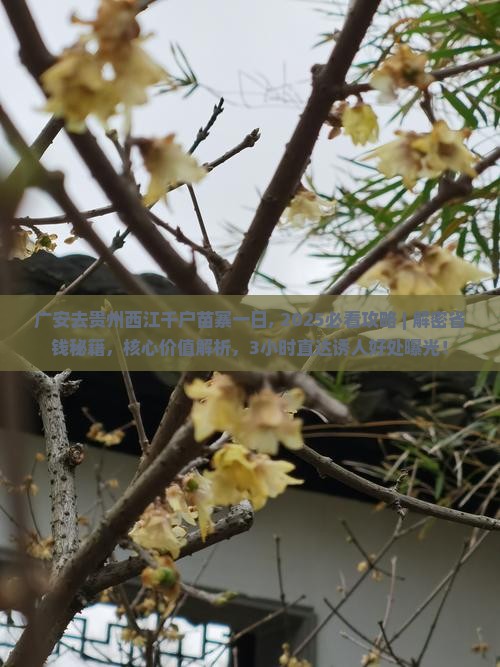广安去贵州西江千户苗寨一日