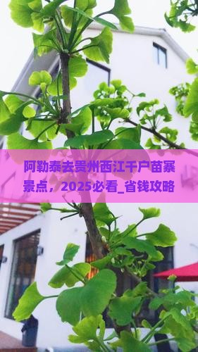 阿勒泰去贵州西江千户苗寨景点