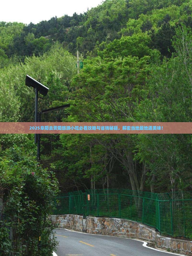 阜阳去贵州贵阳旅游小吃