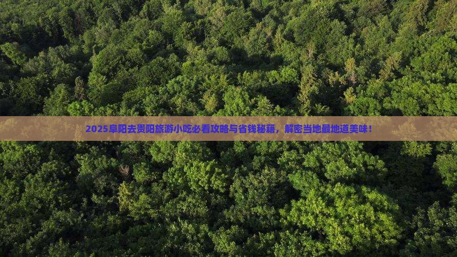 阜阳去贵州贵阳旅游小吃