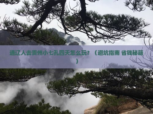 通辽市到贵州小七孔四日游