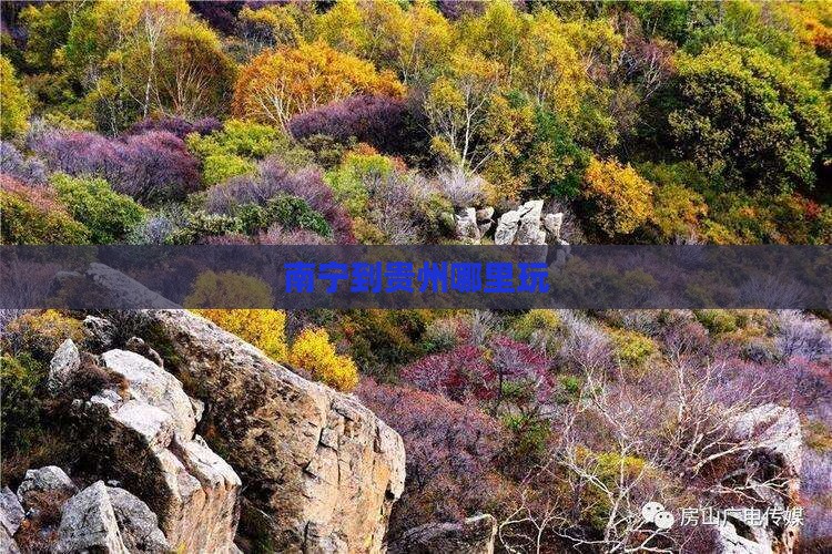 南宁到贵州哪里玩