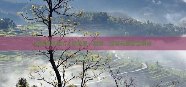 龙岩到贵州个人游