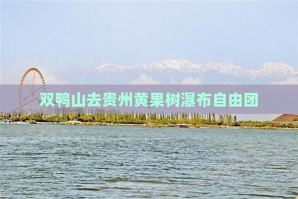 双鸭山去贵州黄果树瀑布自由团