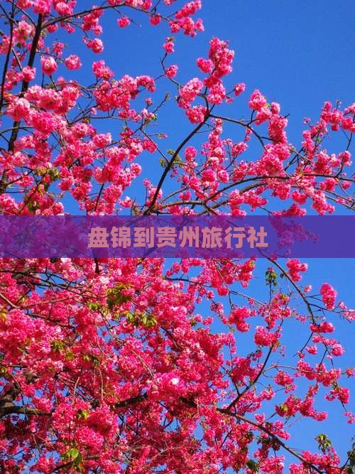 盘锦到贵州旅行社