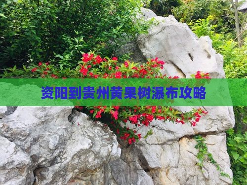 资阳到贵州黄果树瀑布攻略