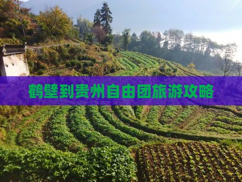鹤壁到贵州自由团
