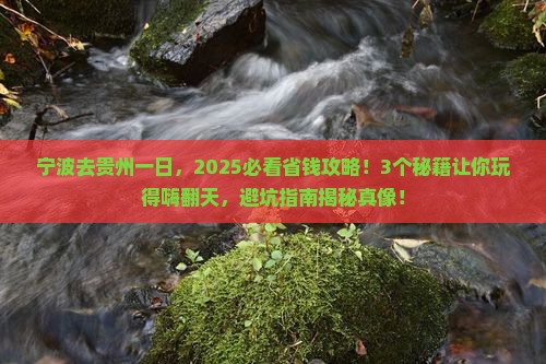 宁波去贵州一日