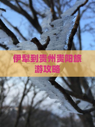 伊犁哈萨克到贵州贵阳攻略 伊犁哈萨克到贵州贵阳攻略