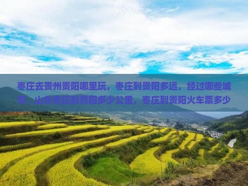 枣庄去贵州贵阳哪里玩