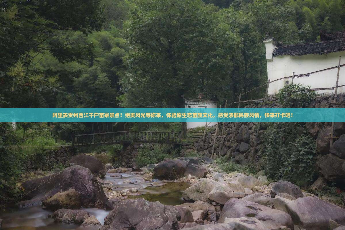 阿里去贵州西江千户苗寨景点