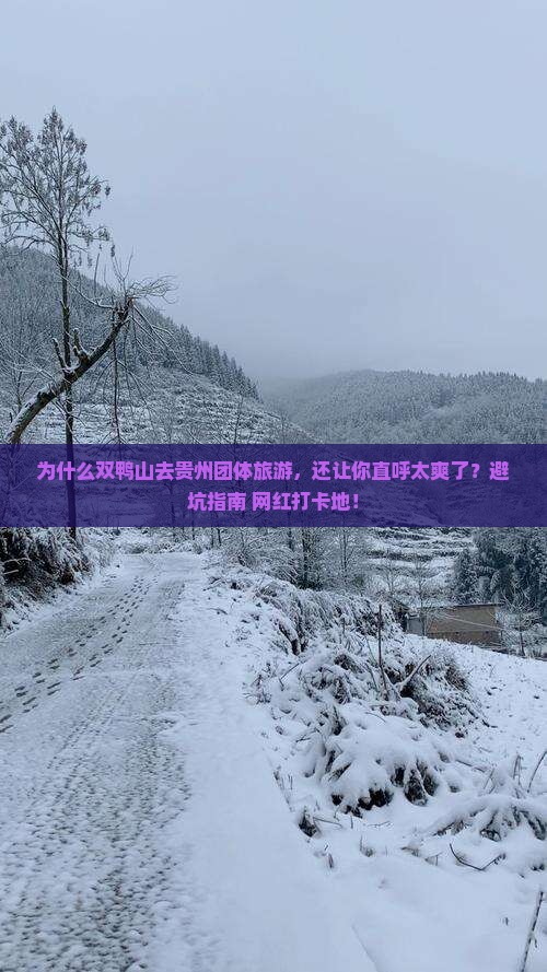 双鸭山去贵州团体旅游