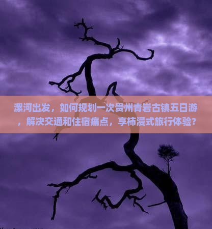 漯河出发，如何规划一次贵州青岩古镇五日游，解决交通和住宿痛点，享柿浸式旅行体验？
