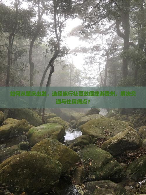 如何从肇庆出发，选择旅行社高效便捷游贵州，解决交通与住宿痛点？