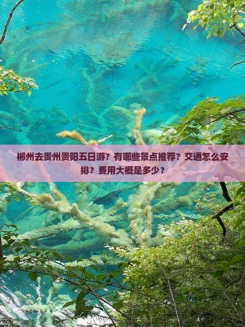 郴州去贵州贵阳五日游？有哪些景点推荐？交通怎么安排？费用大概是多少？