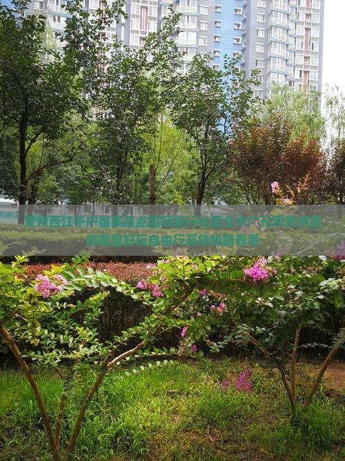 贵州西江千户苗寨景点国际旅行社营业中广元到贵州旅游哪里好玩自由行高铁线路看看