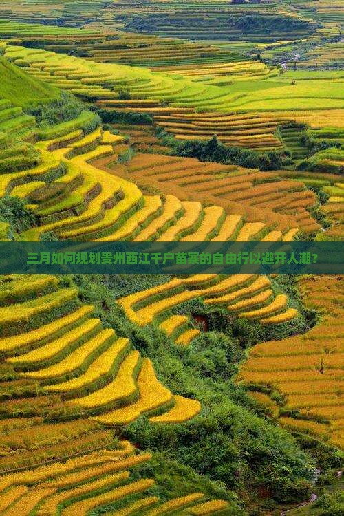 三月如何规划贵州西江千户苗寨的自由行以避开人潮？