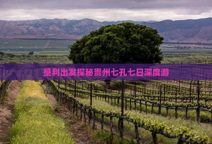 垦利出发探秘贵州七孔七日深度游