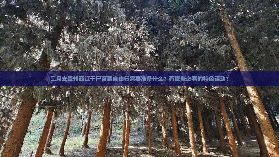 二月去贵州西江千户苗寨自由行需要准备什么？有哪些必看的特色活动？