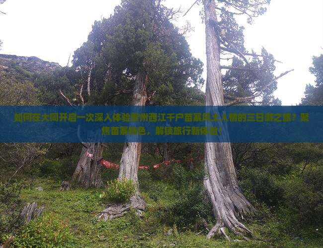 如何在大同开启一次深入体验贵州西江千户苗寨风土人情的三日游之旅？聚焦苗寨特色，解锁旅行新体验！