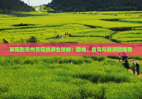 襄阳到贵州贵阳旅游全攻略：路线、自驾与旅游团推荐