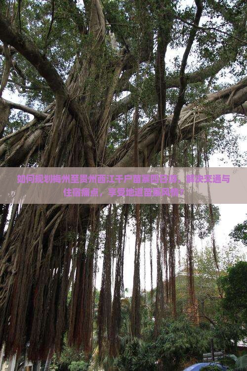 如何规划梅州至贵州西江千户苗寨四日游，解决交通与住宿痛点，享受地道苗寨风情？