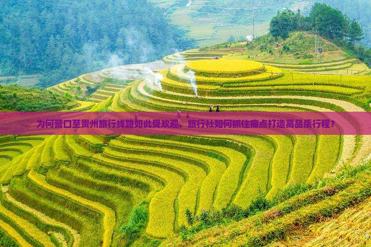 为何营口至贵州旅行线路如此受欢迎，旅行社如何抓住痛点打造高品质行程？